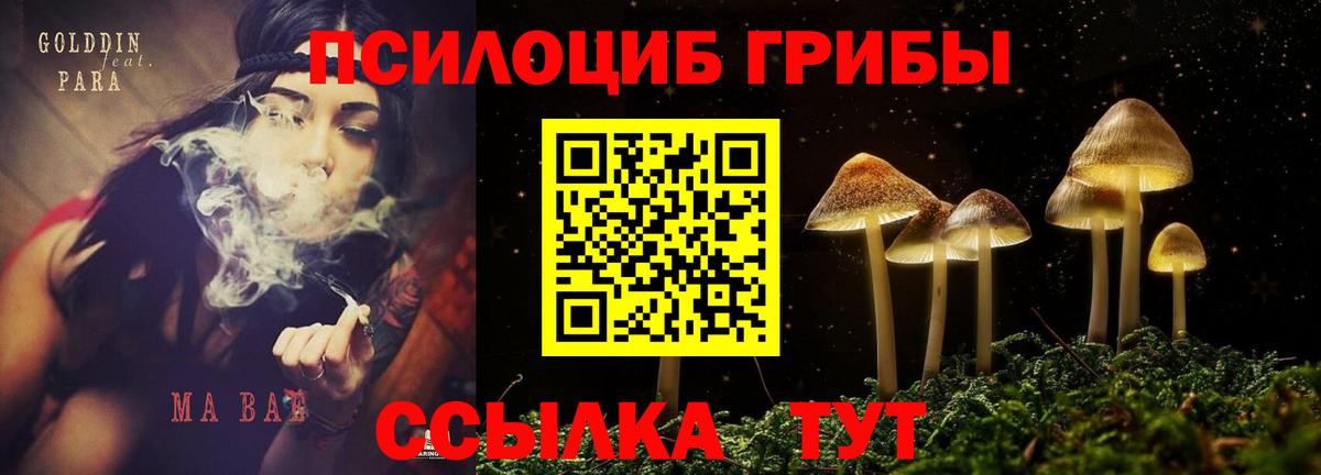 Галлюциногенные грибы мицелий  Псилоцибиновые грибы GOLDEN TEACHER  Вход с VPN  Бирск 